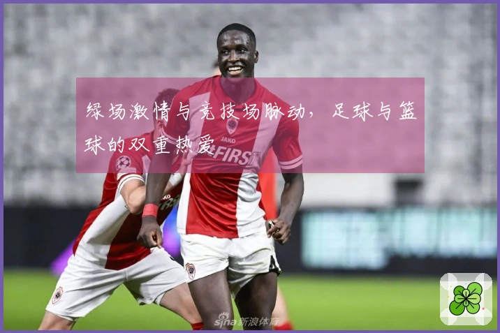 绿场激情与竞技场脉动，足球与篮球的双重热爱