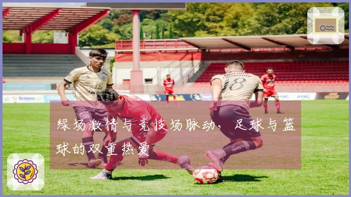 绿场激情与竞技场脉动，足球与篮球的双重热爱